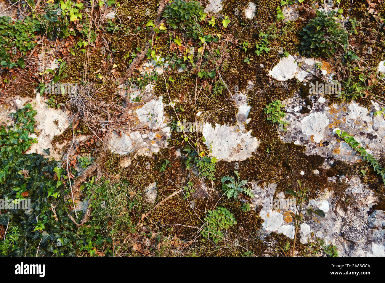 Stones and red soil hi-res stock photography and images - Alamy