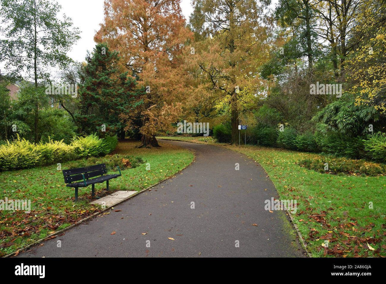 Path and Park Bench in West Bank Park, Holgate, York, North Yorkshire Stock Photo