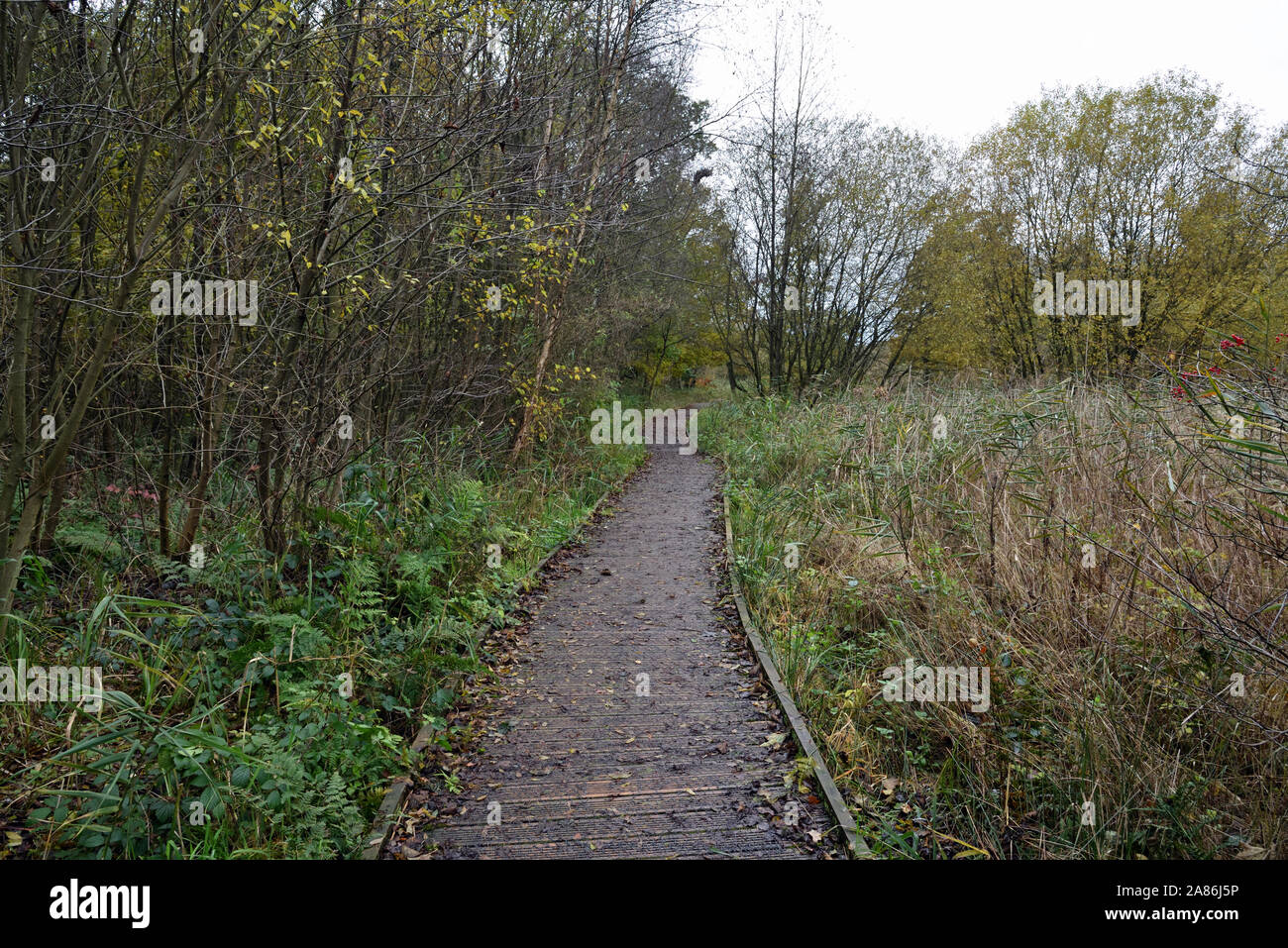 Boardwalk at Askham Bog Nature Reserve and SIte of Special Scientific Interest Stock Photo