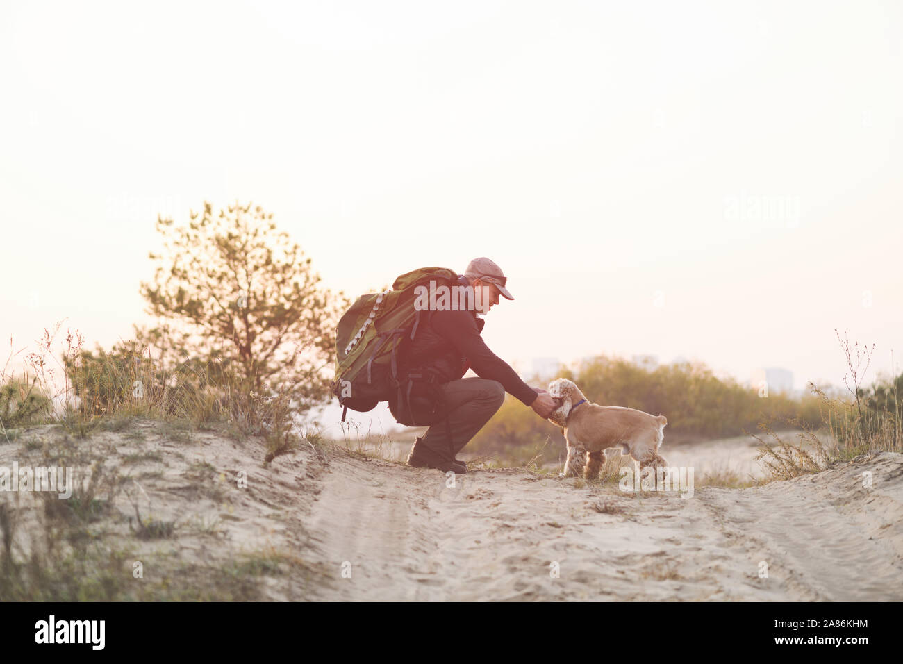 Tourist with backpack sit with pet dog. A man and dog walks along a sandy  road Stock Photo - Alamy