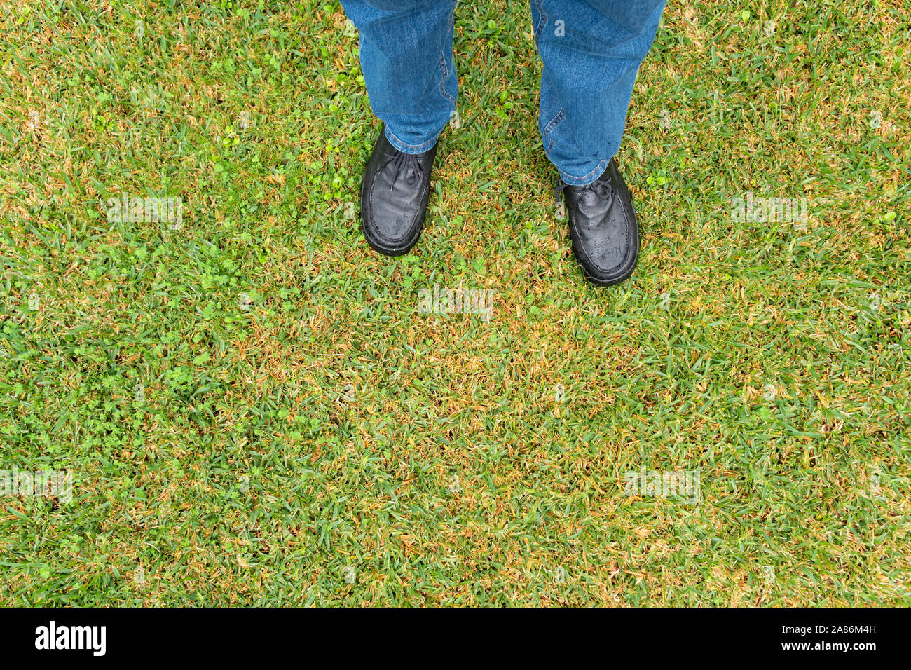 Man legs with blue jeans and black shoes on wet sward. Rainy day Stock Photo