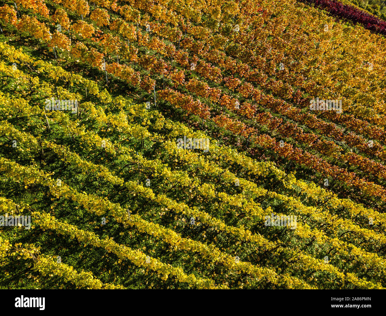 Stuttgart farming hi-res stock photography and images - Alamy