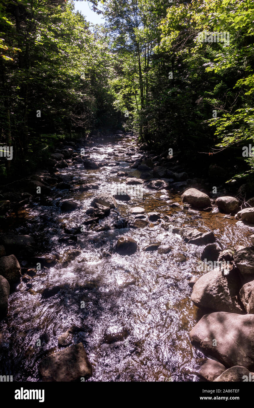 Trail along Upstate New York's Northville Placid Trail Stock Photo Alamy