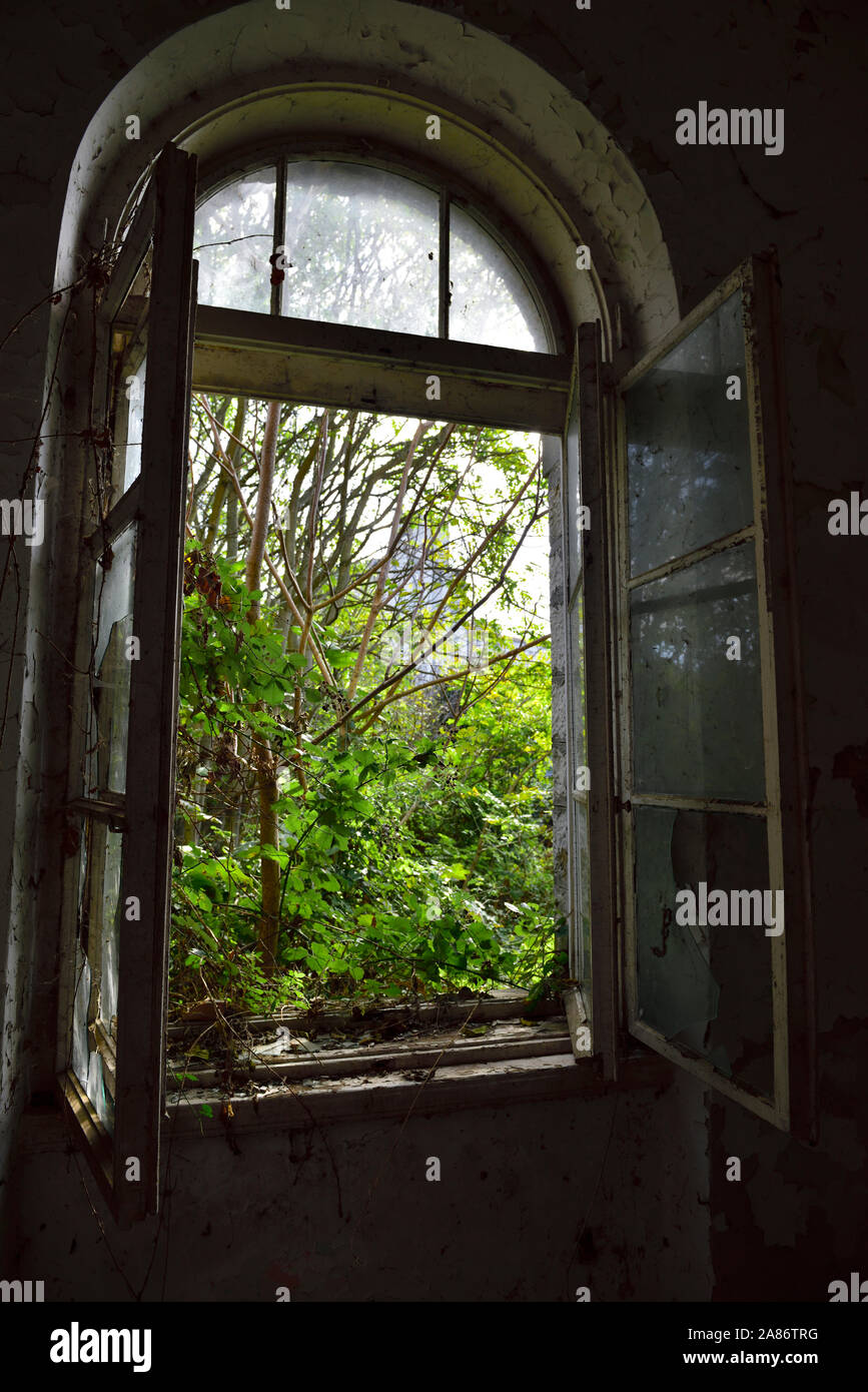 Looking out through old open window in derelict building in silhouette with bright green bush on outside Stock Photo