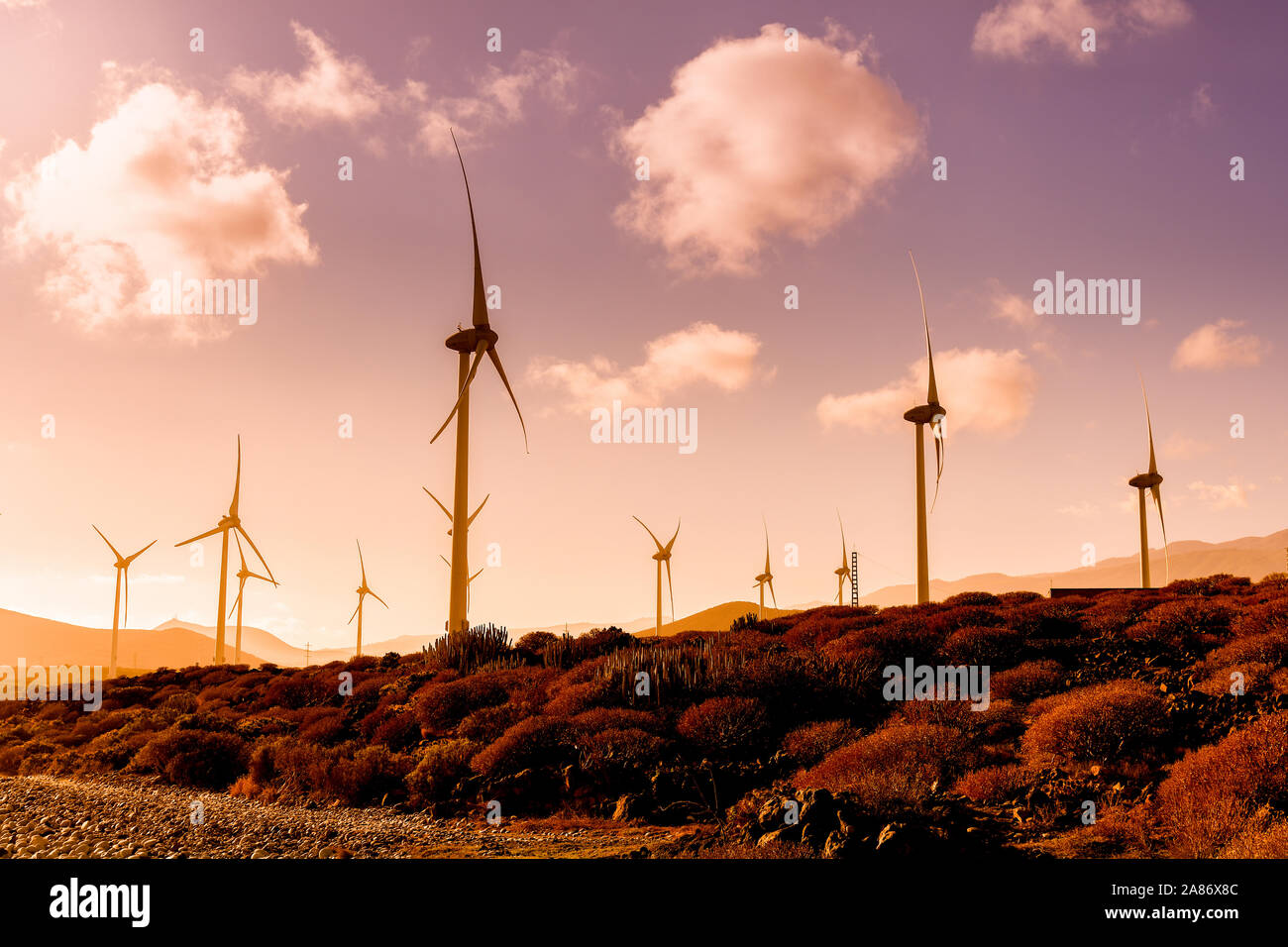 Landscape with wind turbines that produce electricity by rotating in