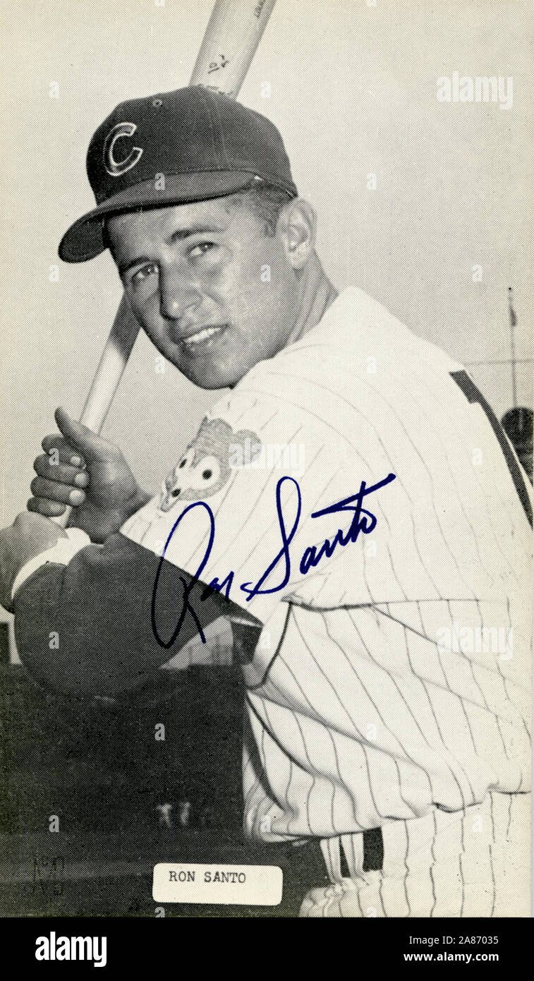 Vintage black and white souvenir photo of Major League baseball player Ron  Santo with the Chicago Cubs circa 1960s Stock Photo - Alamy