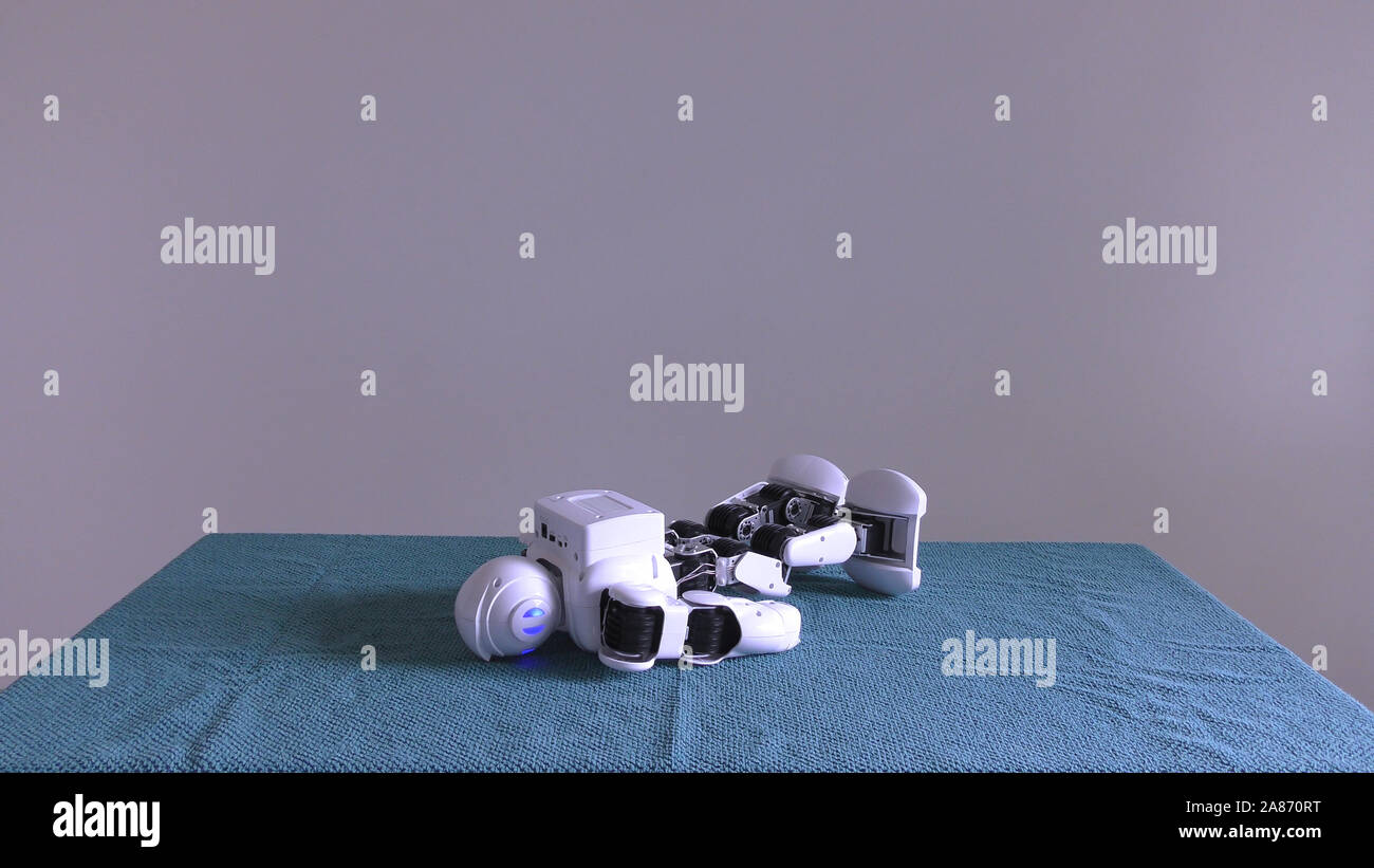 A domestic android humanoid robot succumbs to dangerous signal from ...