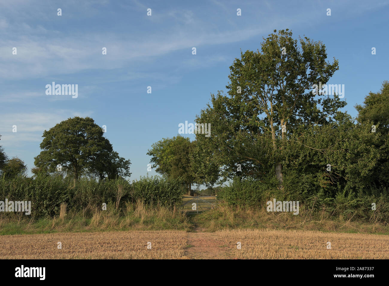 Field in Herefordshire in Autumn Stock Photo