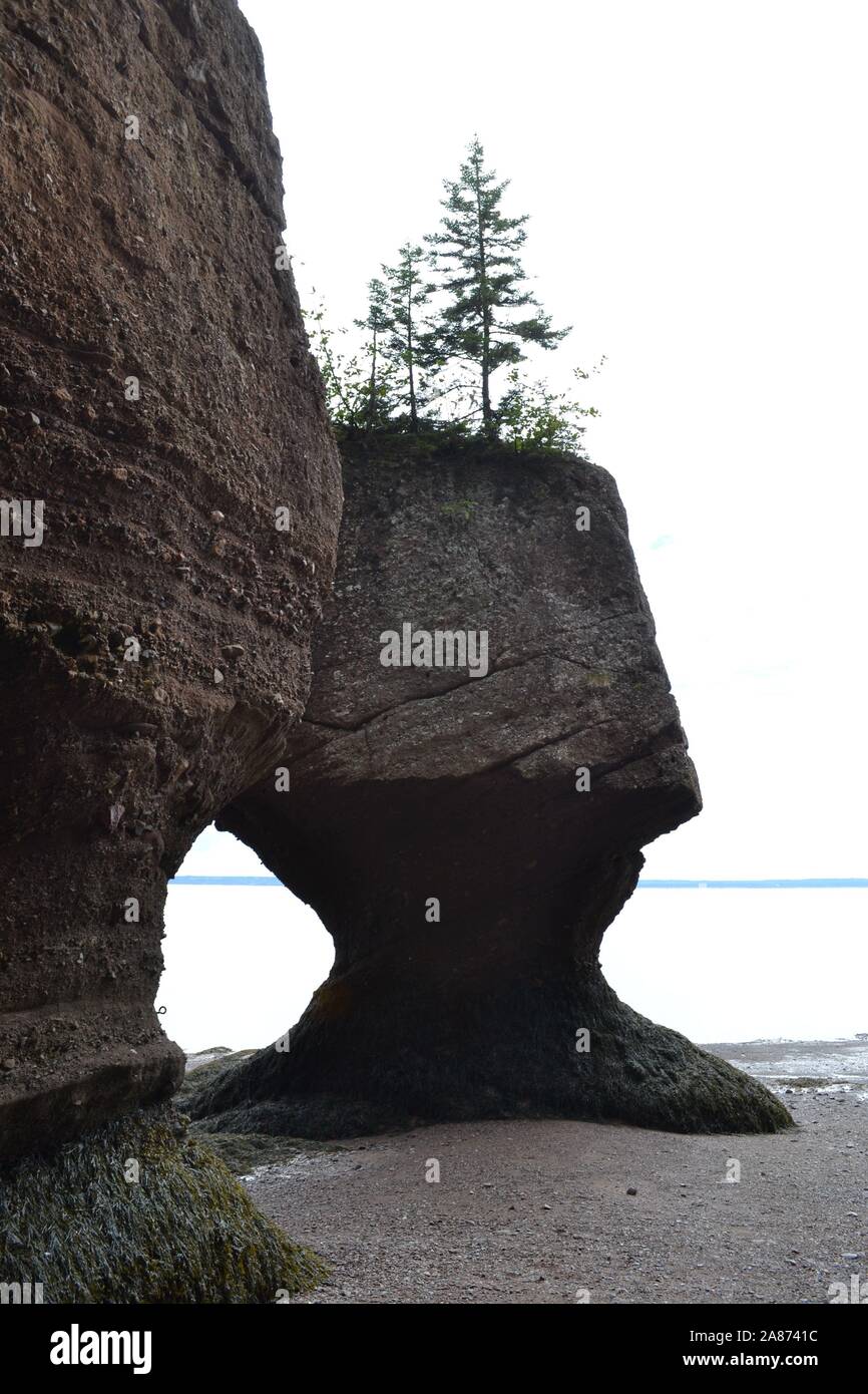Rock formations bay of fundy hi-res stock photography and images - Alamy
