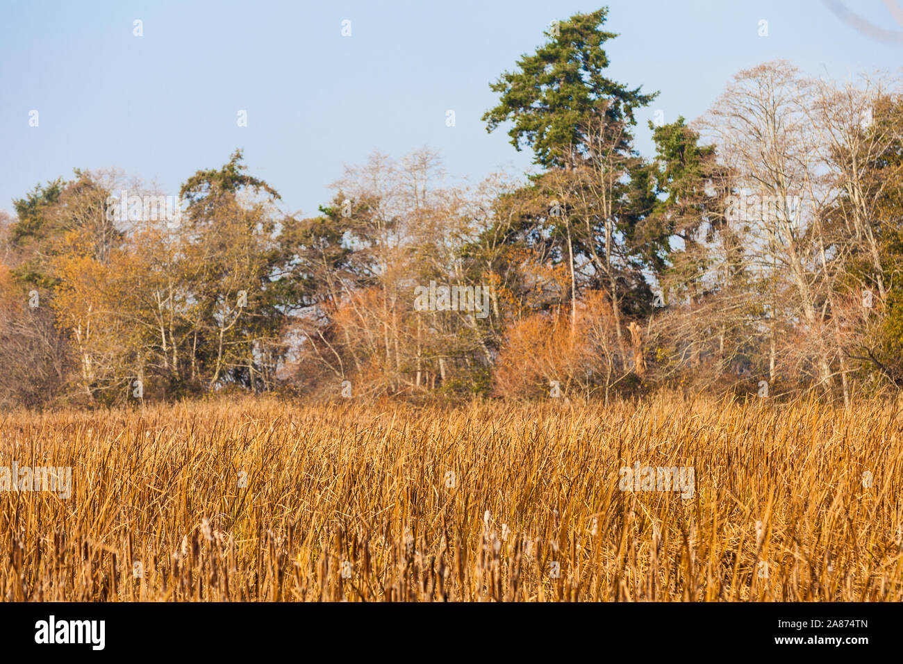 Colours coastal hi-res stock photography and images - Alamy