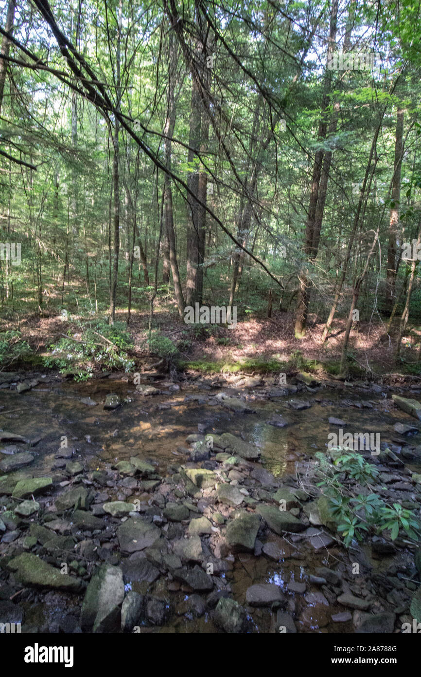 Dog Slaughter Creek, Kentucky Stock Photo Alamy