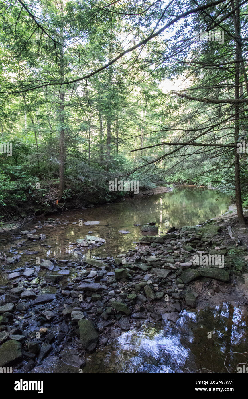 Dog Slaughter Creek, Kentucky Stock Photo Alamy