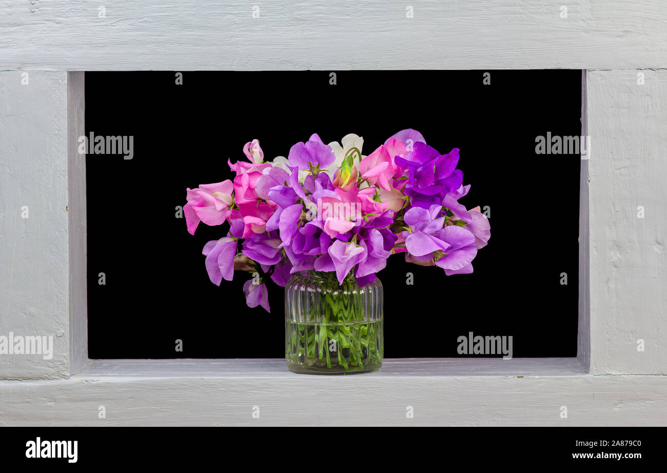 A bunch of sweet pea flowers framed black background Stock Photo