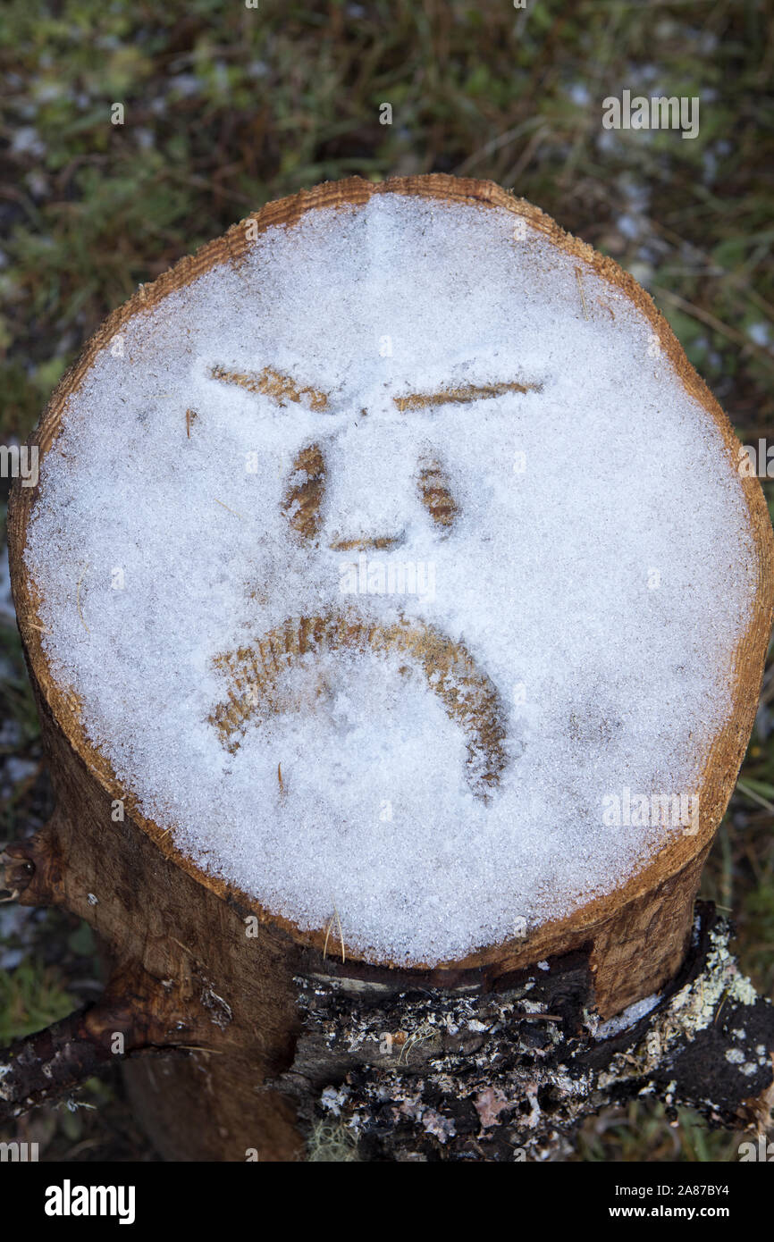 An abstract shot of an angry face drawn in the snow on a tree stump in north Idaho. Stock Photo