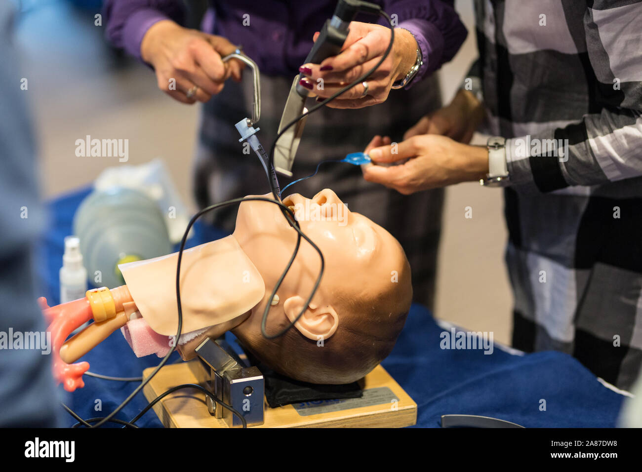 Medical doctor specialist expert displaying method of patient intubation technique on hands on medical education training and workshop Stock Photo