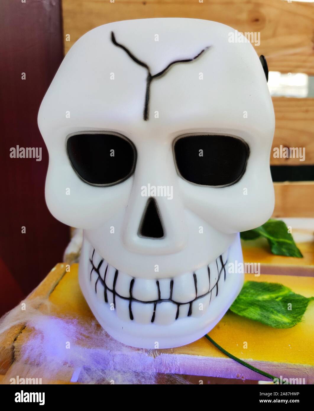 a scary white skull with showing horrible teeth Stock Photo