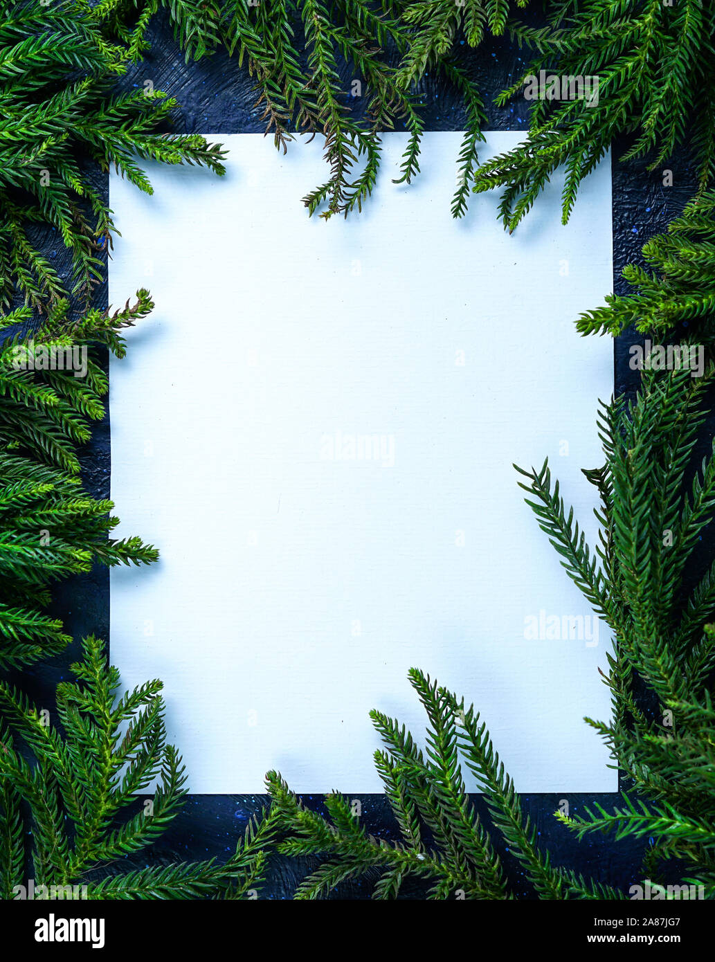 Empty Blank Card Surrounded by Christmas Tree Branches. Simple Christmas Composition Stock Photo