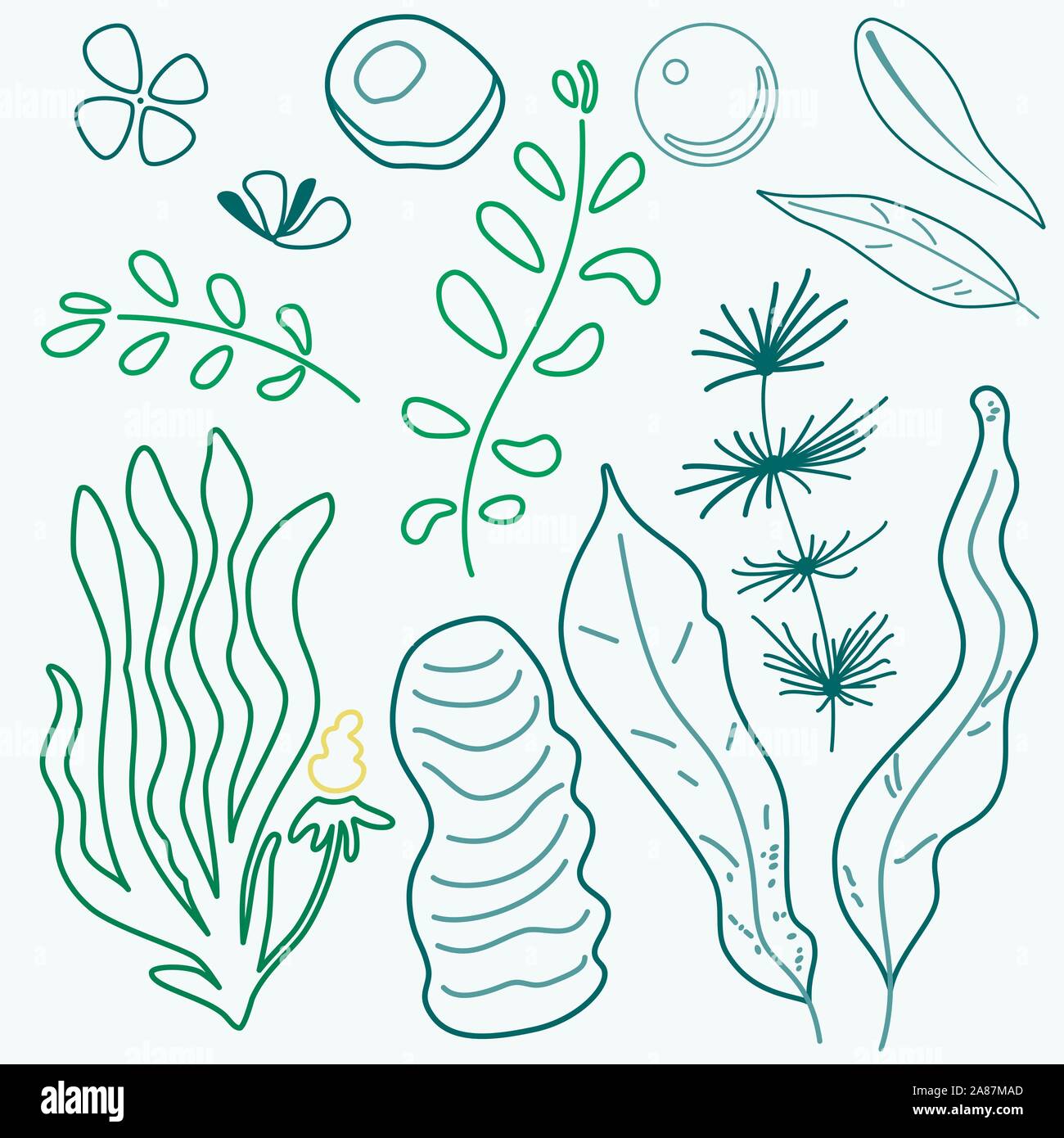 Vector seaweed outline silhouette isolated set. Underwater plants, ocean planting Stock Vector