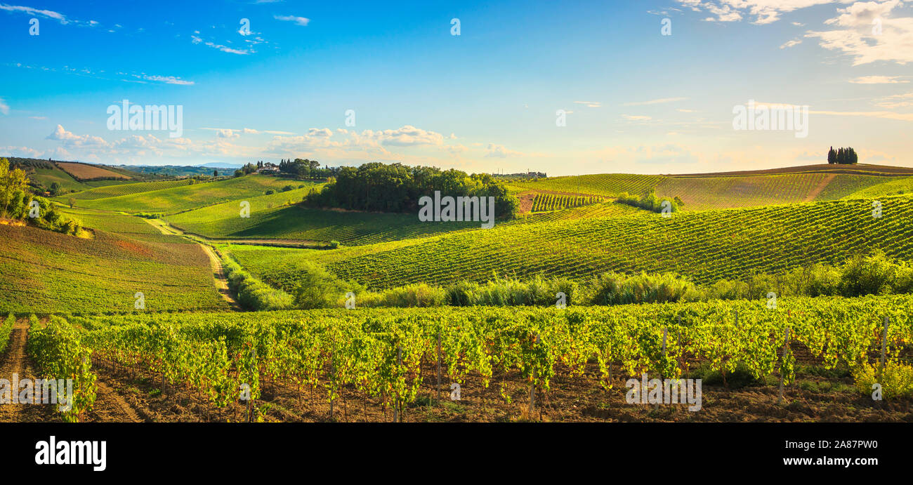Chianti vineyards and panorama at sunset in autumn. Vinci Tuscany, Italy Europe. Stock Photo