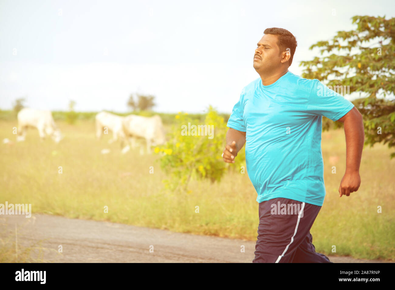 Overweight man running on road - concept of fat man fitness - obese person jogging to reduce the weight. Stock Photo