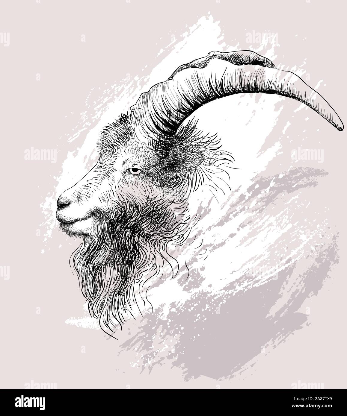 Mountain goat. Vector illustration Stock Vector