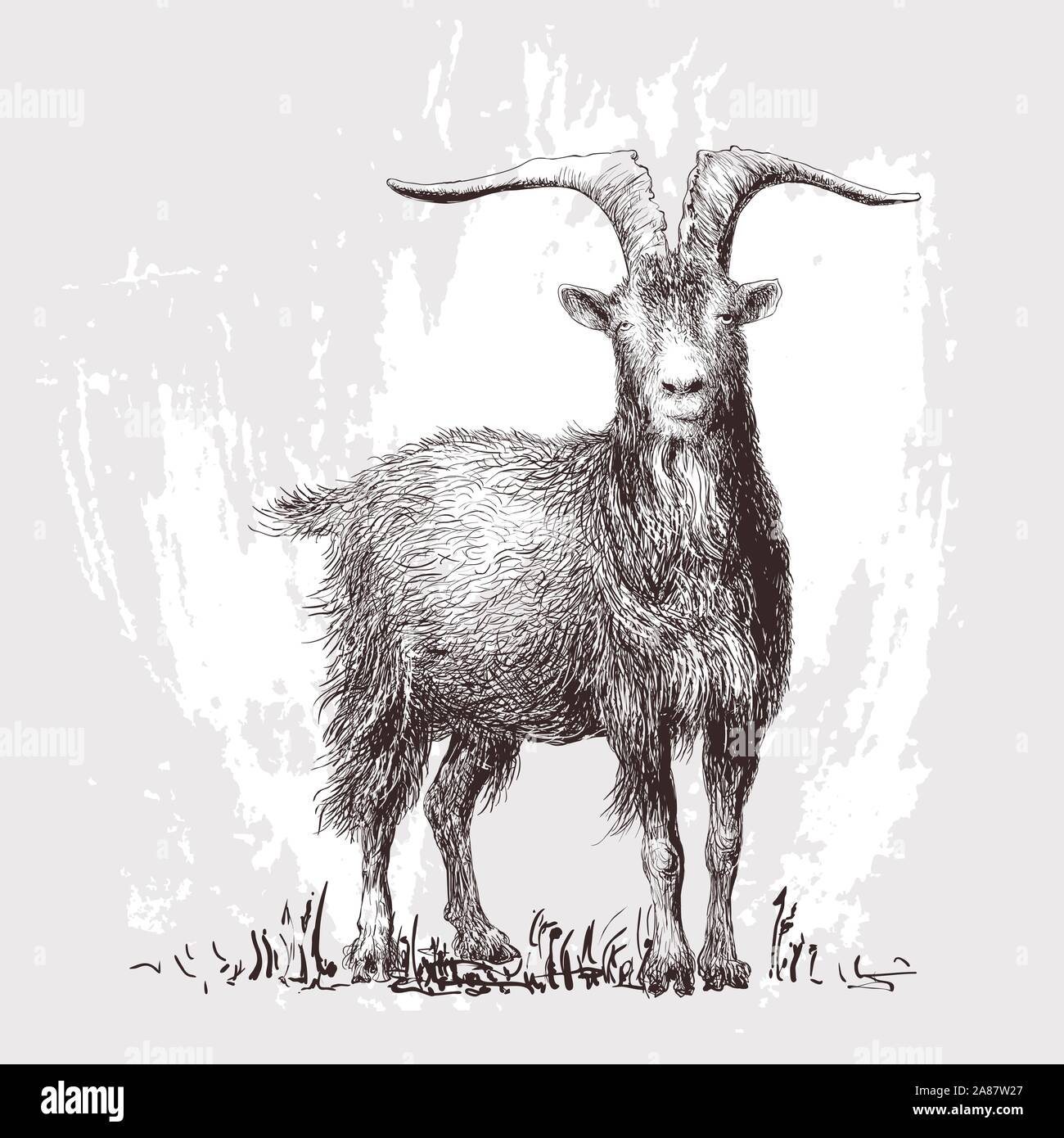 Mountain goat. Vector illustration Stock Vector