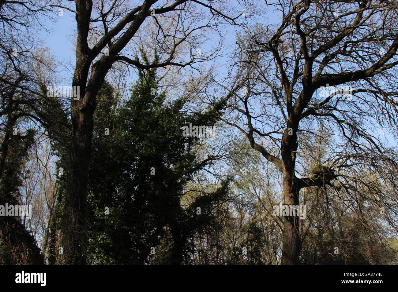 Paesaggio naturale Stock Photo