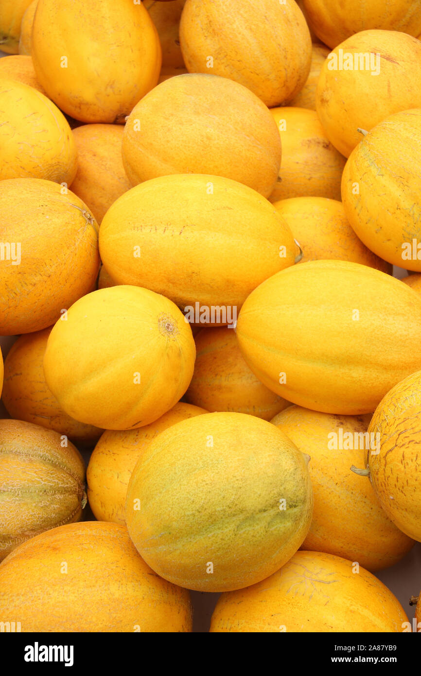Fresh cantaloupe melons in the market Stock Photo Alamy