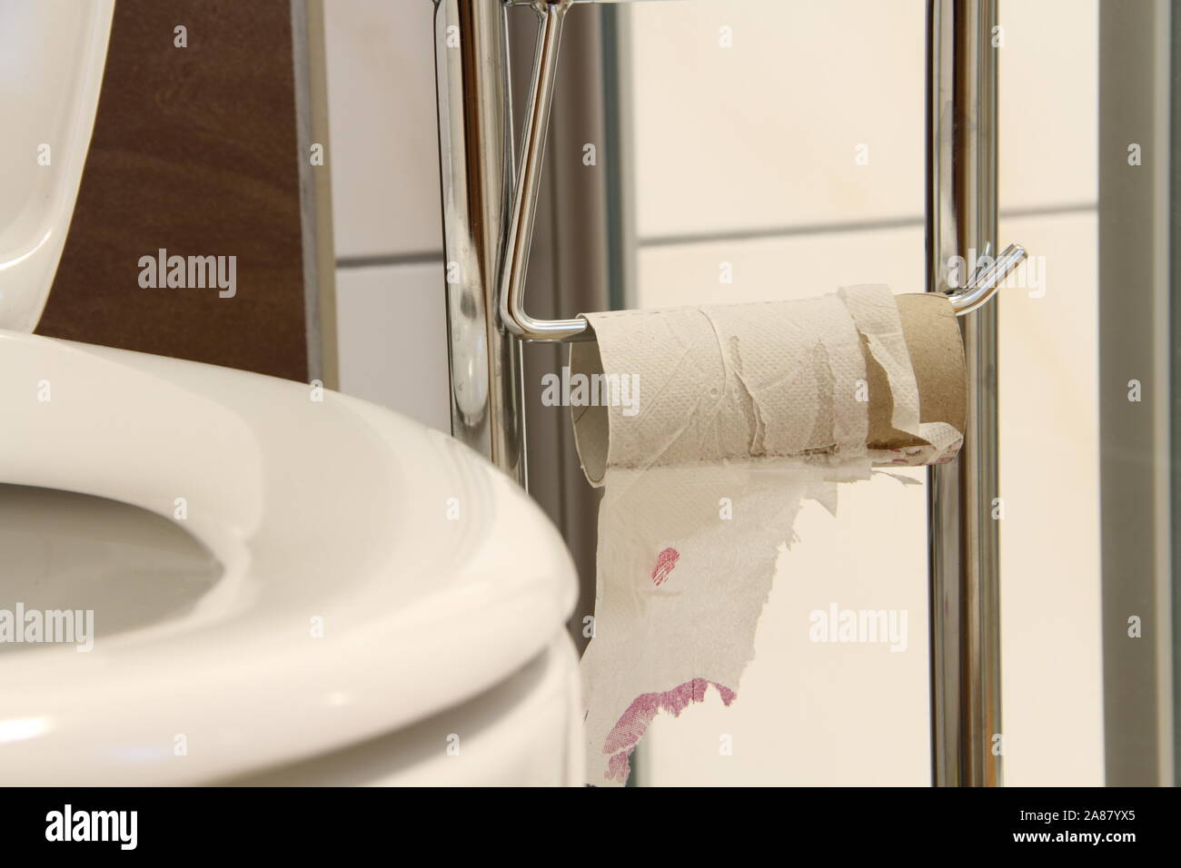 an empty toilet paper roll Stock Photo Alamy