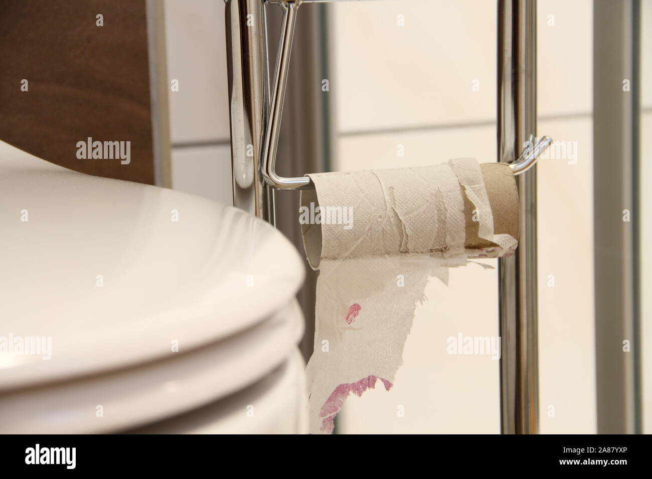 an empty toilet paper roll Stock Photo Alamy