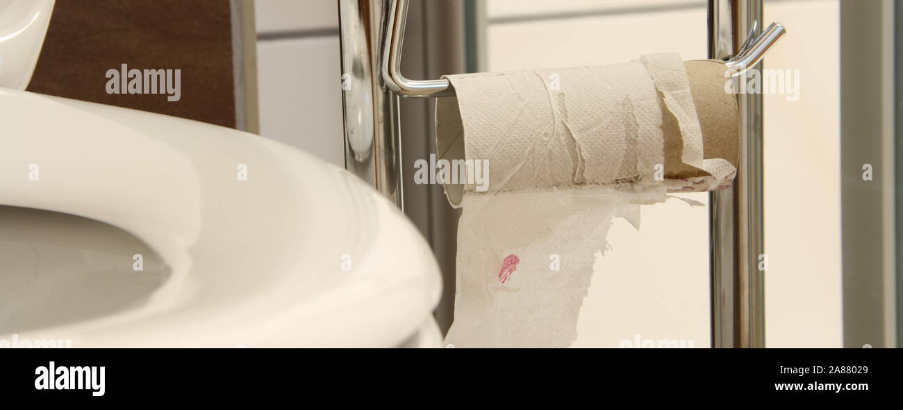 an empty toilet paper roll Stock Photo Alamy