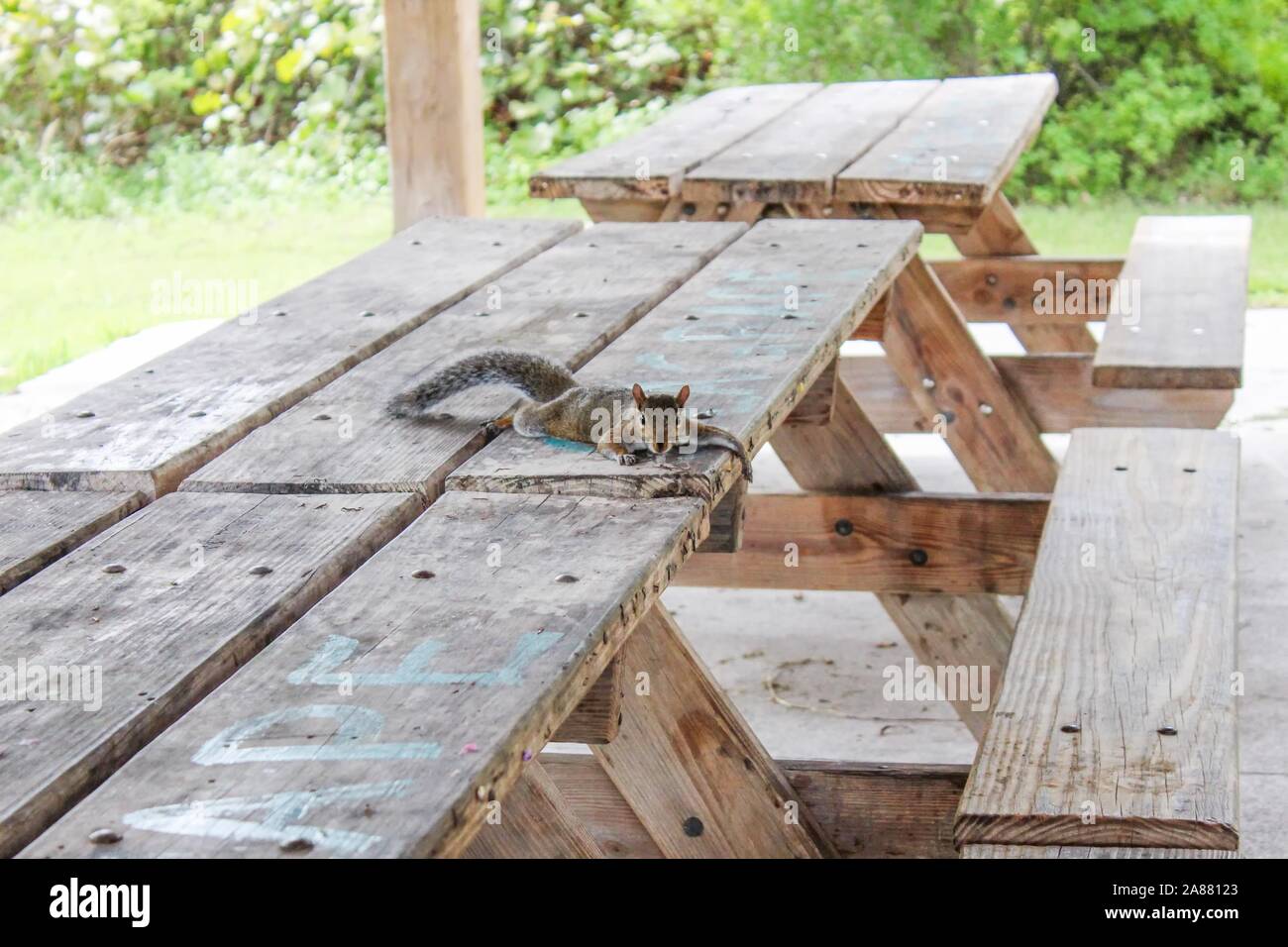 State Park Picnic Bench Stock Photos State Park Picnic Bench