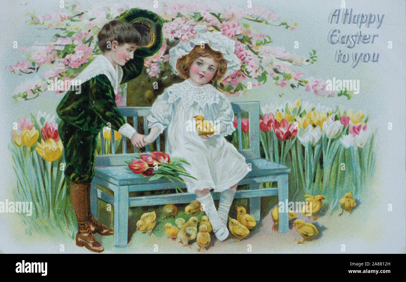 greetings card flowers high resolution stock photography and