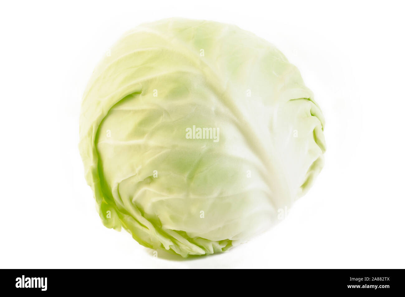 cabbage isolated on white background Stock Photo