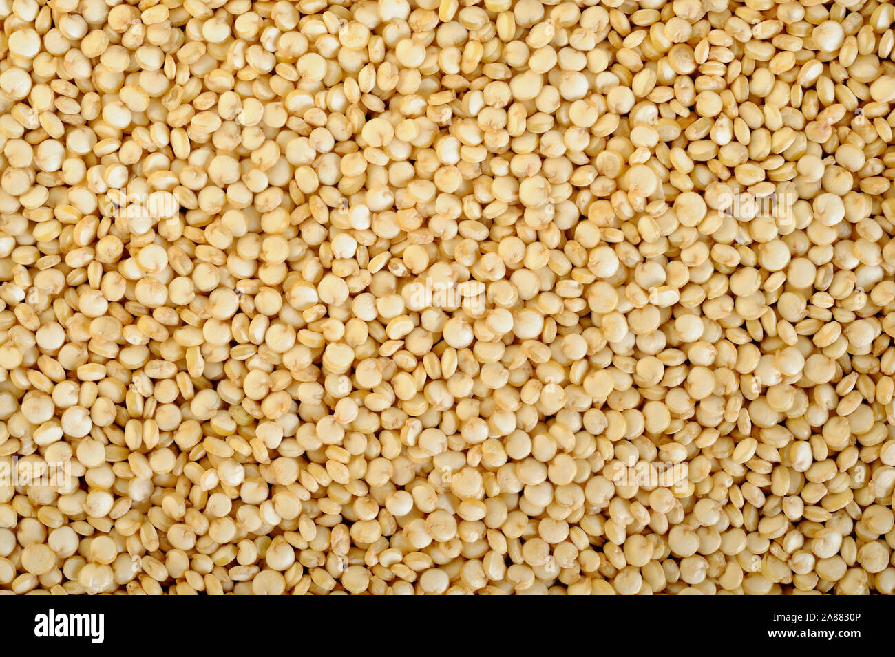 organic quinoa seeds background Stock Photo