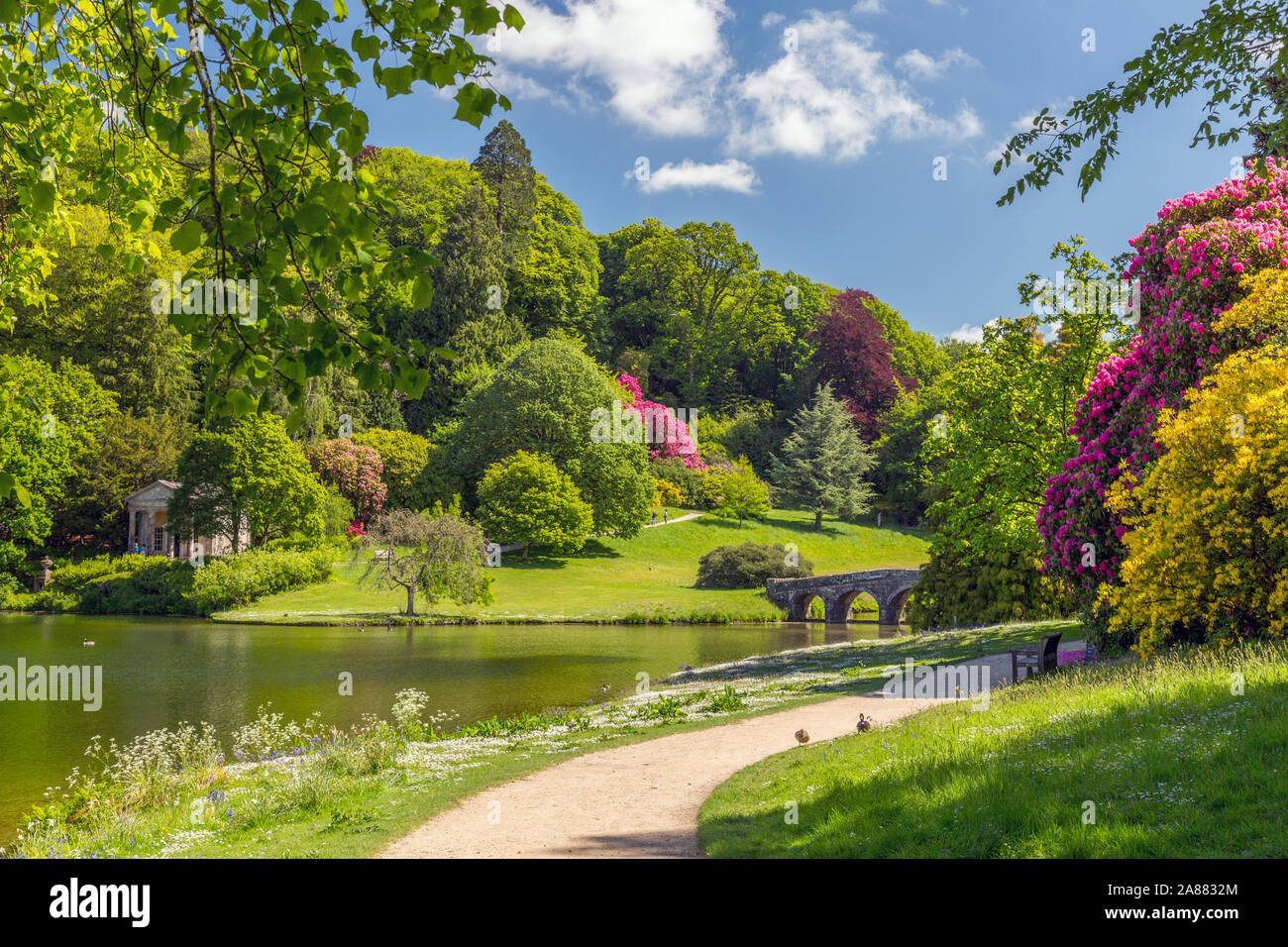 The Palladian Bridge and colourful rhododendron flowers in spring at Stourhead Gardens, Wiltshire, England, UK Stock Photo