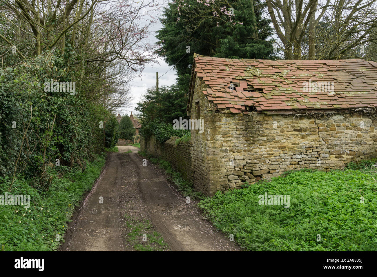 Rural track with trees to the left and a dilapidated barn to the right in the village of Maidwell, Northamptonshire, UK Stock Photo