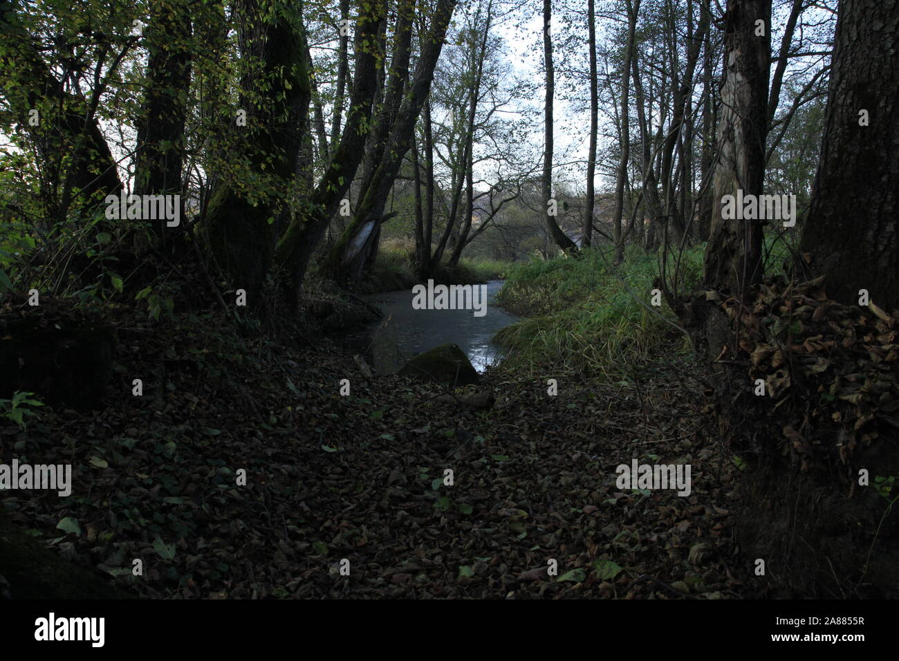 Dead arm hires stock photography and images Alamy