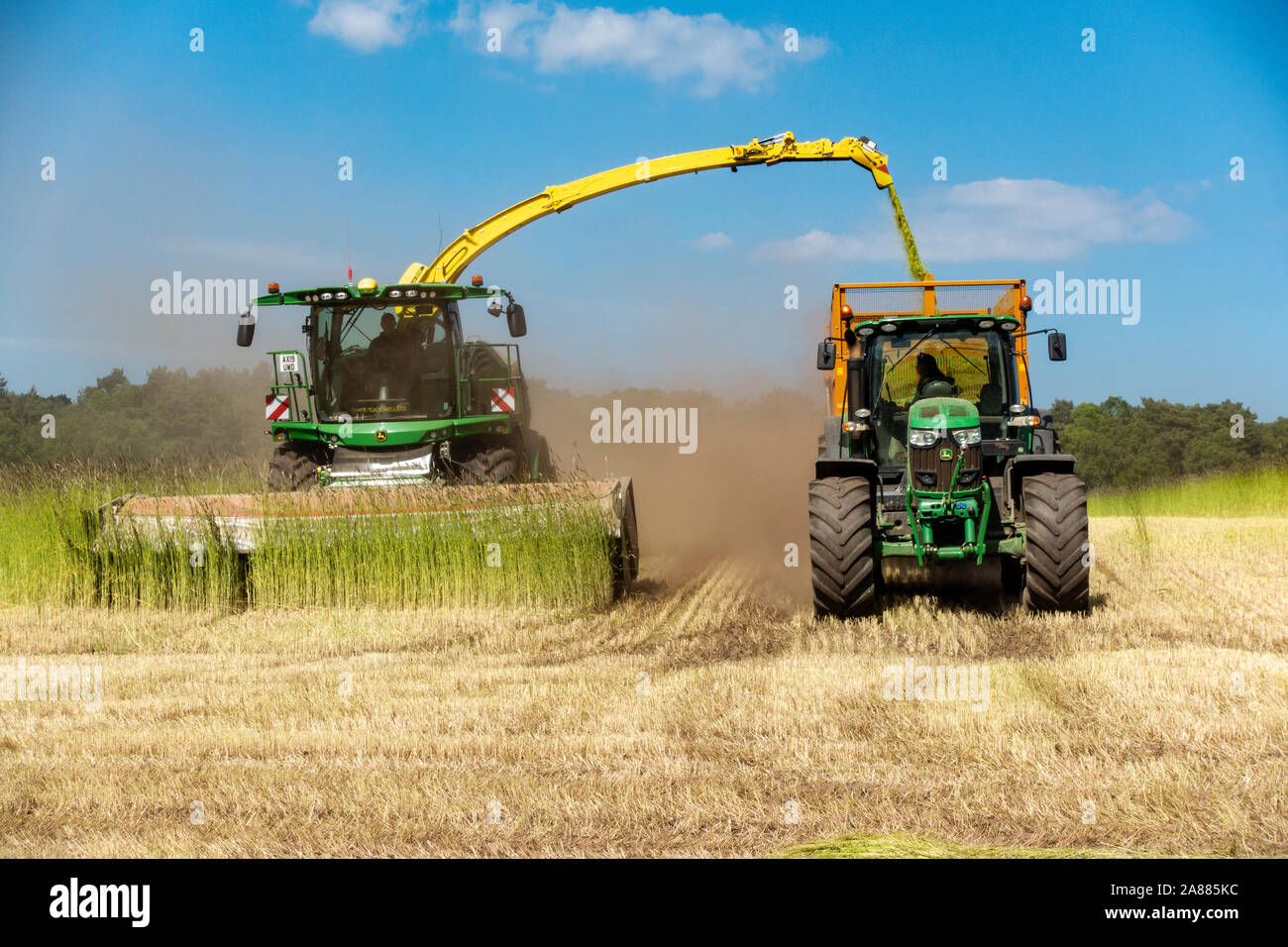 Harvesting oil seed rape for bio gas Stock Photo - Alamy