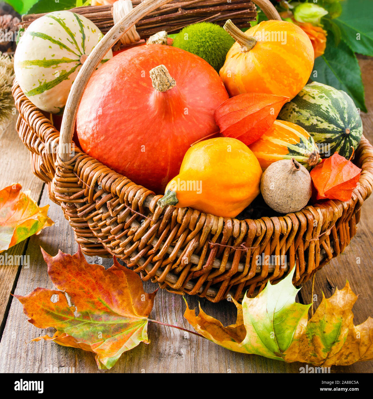 happy-fall-printable-images-and-photos-finder