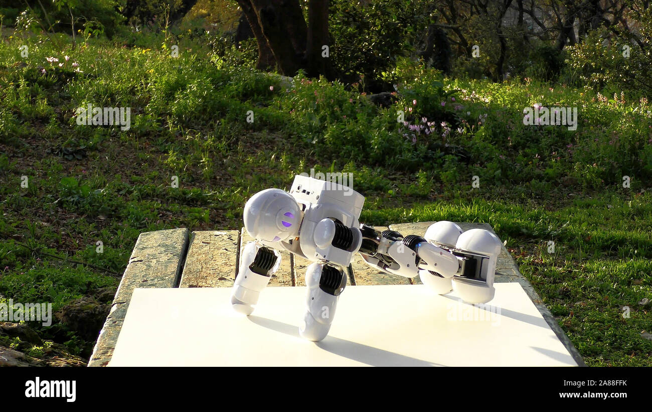 An android humanoid robot practices push ups upside down in the park ...