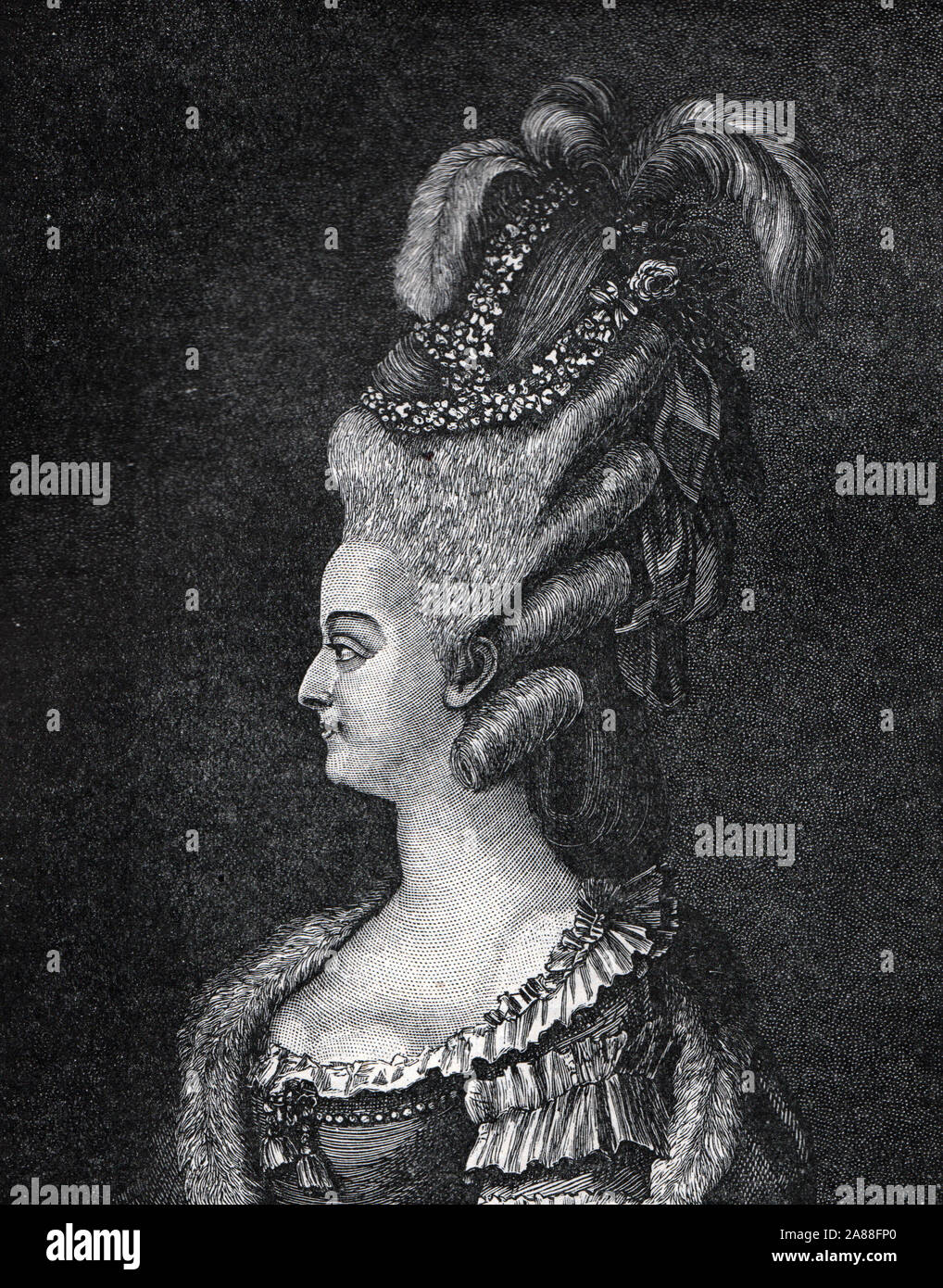 Portrait Of Marie Antoinette 1783 Black And White Illustration