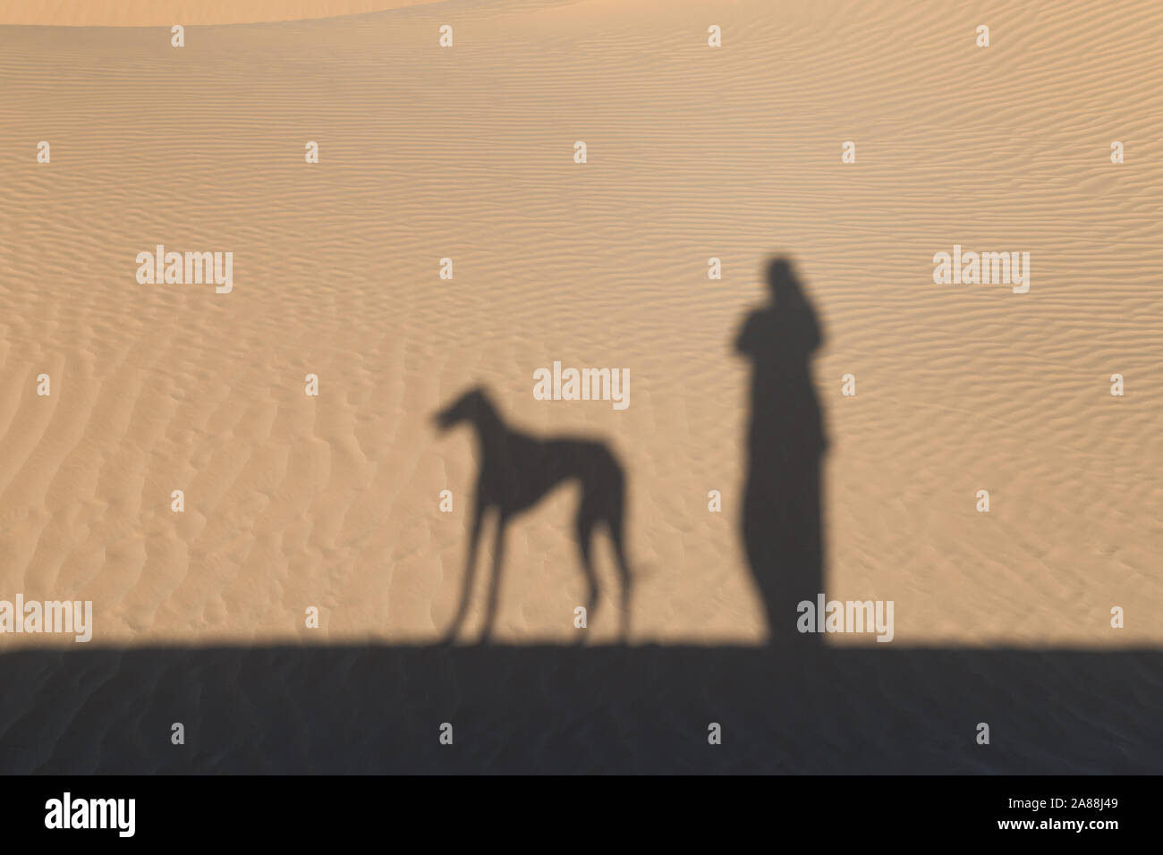 Shadow of a person with a Sloughi dog (Arabian greyhound) against sand dunes in the Sahara desert of Morocco. Stock Photo