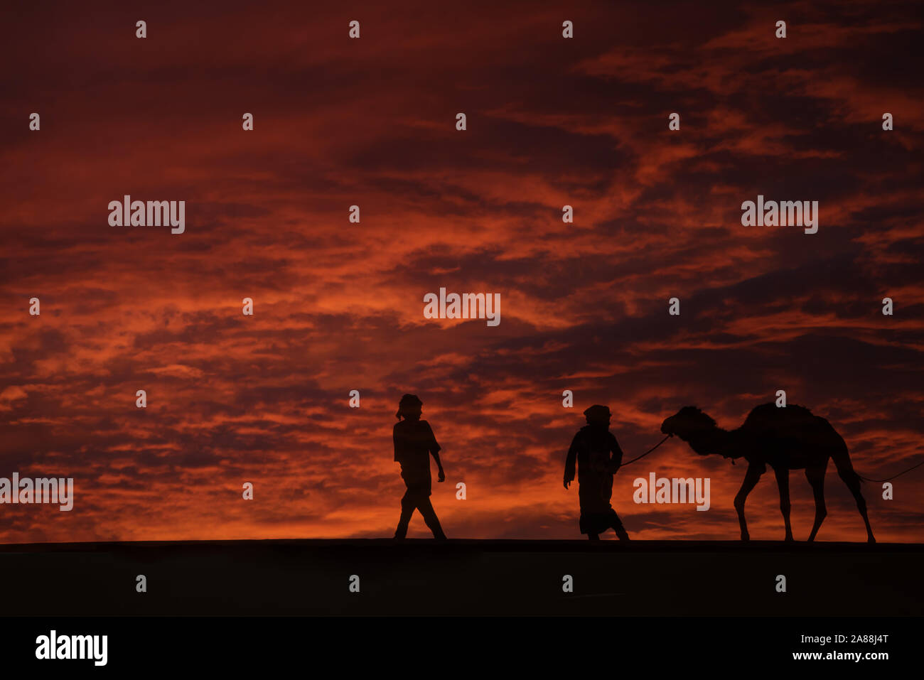 Silhouettes of two men with a camel (dromedary) in the desert against dark, red, cloudy sky. Stock Photo