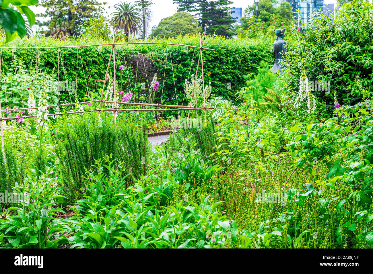 4 Nov 19. Melbourne, Australia. Captain Cook's cottage and garden in
