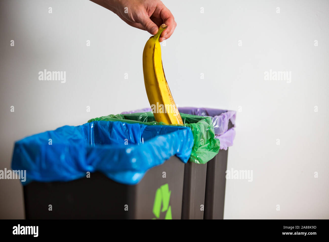 Hand putting banana peel in recycling bio bin. Person in a house kitchen separating waste. Black trash bin with green bag and recycling symbol. Stock Photo