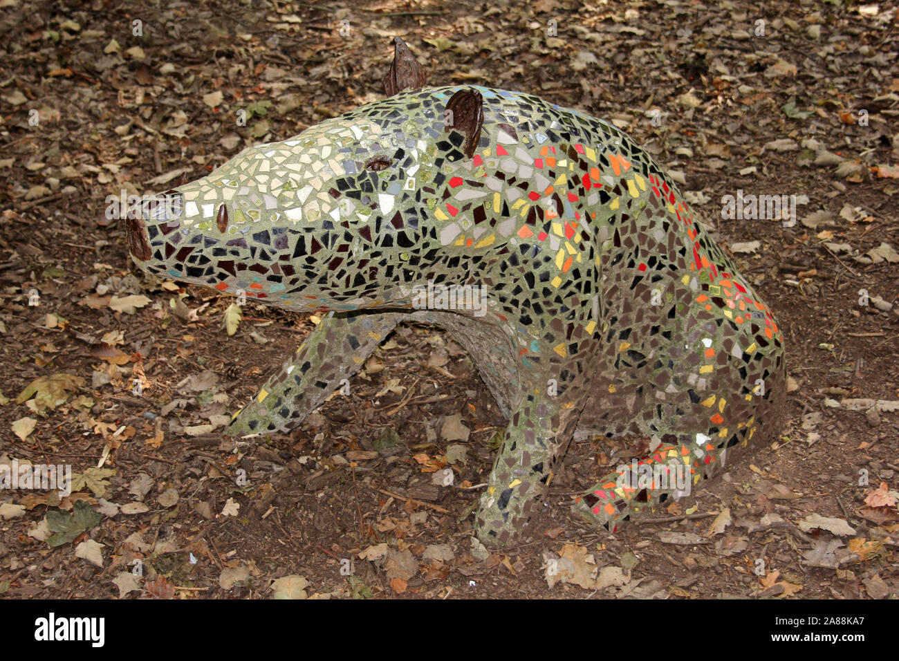 Mosaic Wild Boar at Wigg Island Nature Reserve, Runcorn, UK Stock Photo