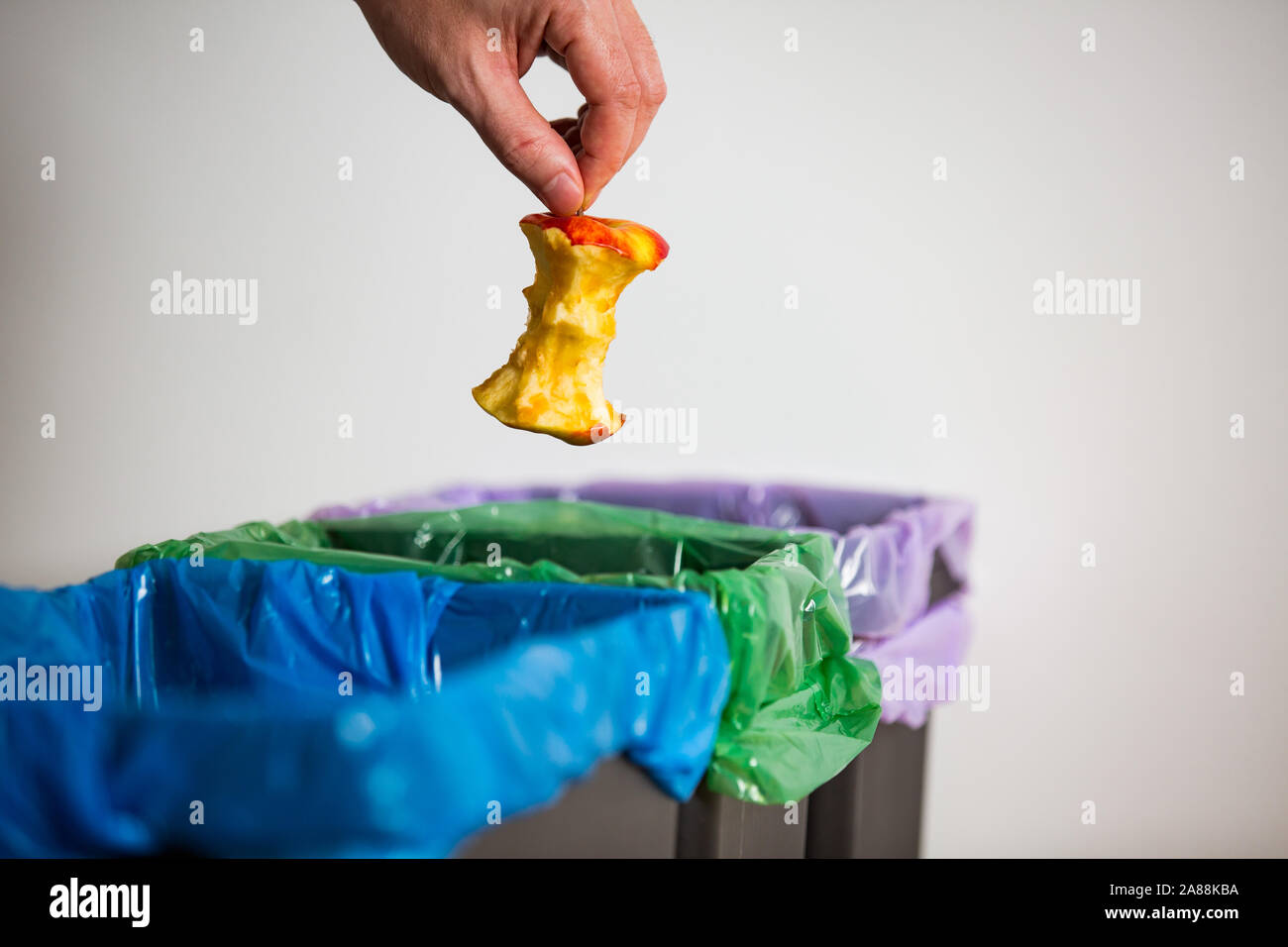 Hand putting apple stub in recycling bio bin. Person in a house kitchen separating waste. Black trash bin with green bag and recycling symbol. Stock Photo