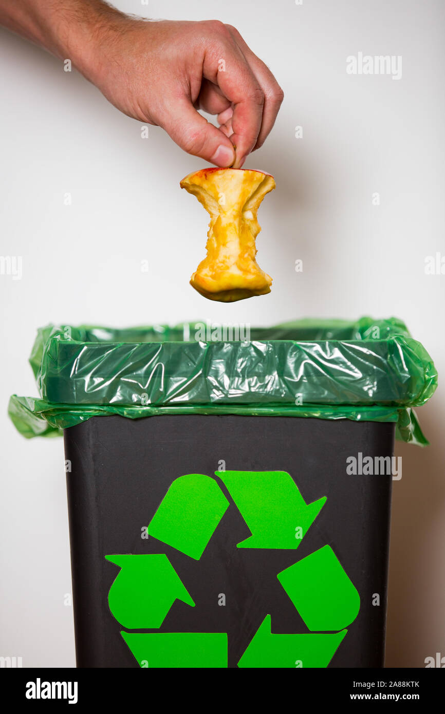 Hand putting apple stub in recycling bio bin. Person in a house kitchen separating waste. Black trash bin with green bag and recycling symbol. Stock Photo