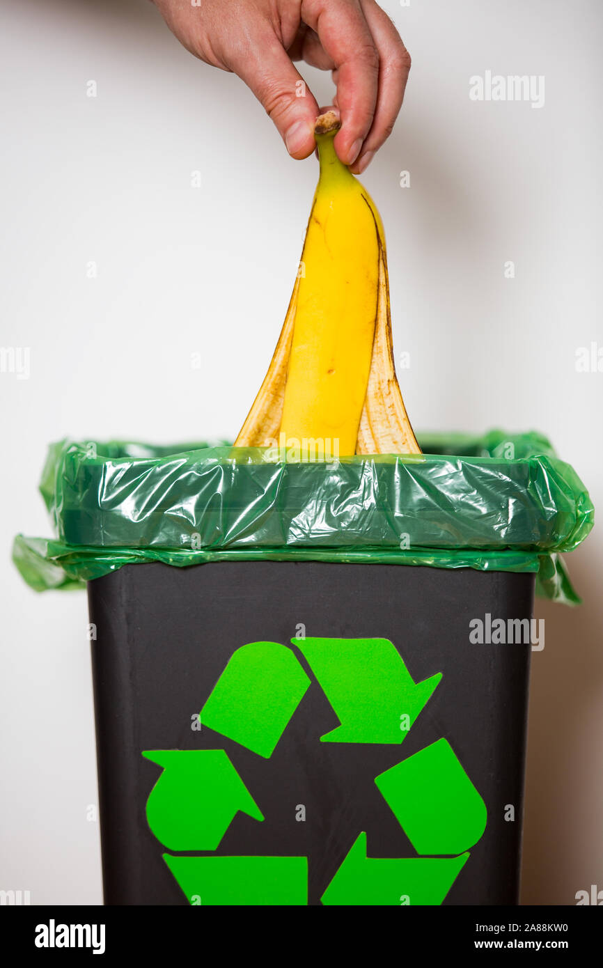 Hand putting banana peel in recycling bio bin. Person in a house kitchen separating waste. Black trash bin with green bag and recycling symbol. Stock Photo